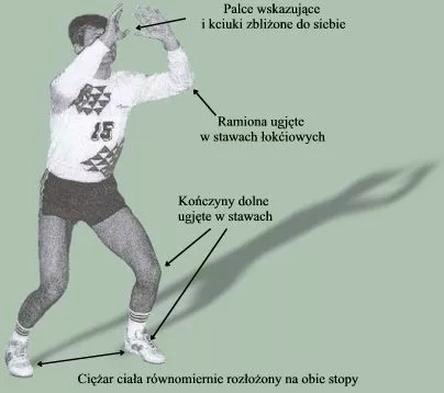 Czy w siatkówce wolno odbijać piłkę nogą? Zasady i wyjątki